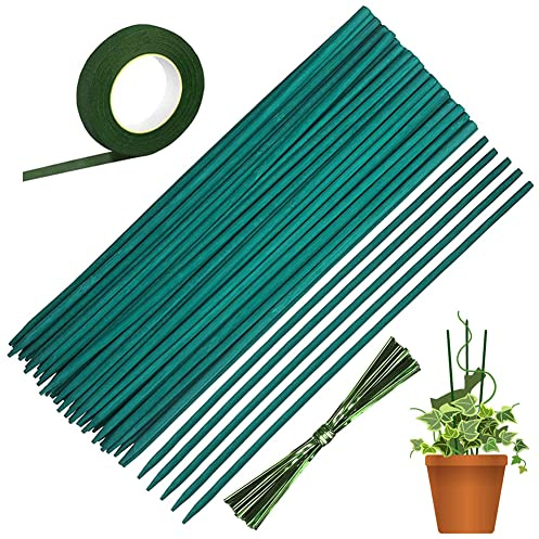 50 Stück Pflanzenstütze Pflanzstab Grün Pflanzenstab Bambusstäbe 38cm mit 30 Yard Blumen Papierband und 50 Pflanzenbänder für Haus Garten Kletterpflanze Erweiterung der Rankstäbe