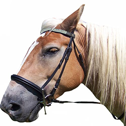 Saddlesworld Fancy Black Leather Center Light Blue & White Pearl with Clear Crystals Horse Bridle's Browband - Pony Size