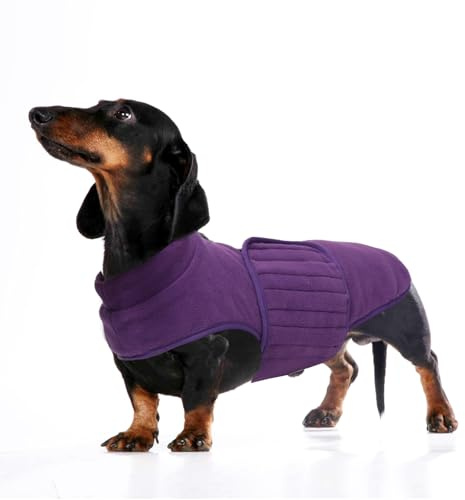 babepet Weiches Hunde-Fleece, Dackel-Jacke, Miniatur-Dackelpullover, reflektierender Hunde-Wintermantel, wetterbeständig, Violett, Größe L