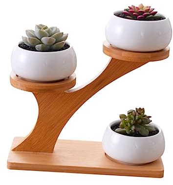 BESPORTBLE Sukkulenten Pflanzgefäß Weißer Keramik Blumentopf Stöckigem Bambusregal Für Kleine Topfpflanzen Bonsai Im Regal Für Wohnmöbel Und Hausgärten