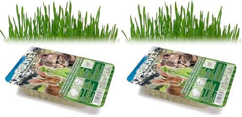 Arquivet Hierba para Gatos en Bandeja (Paquete de 2)