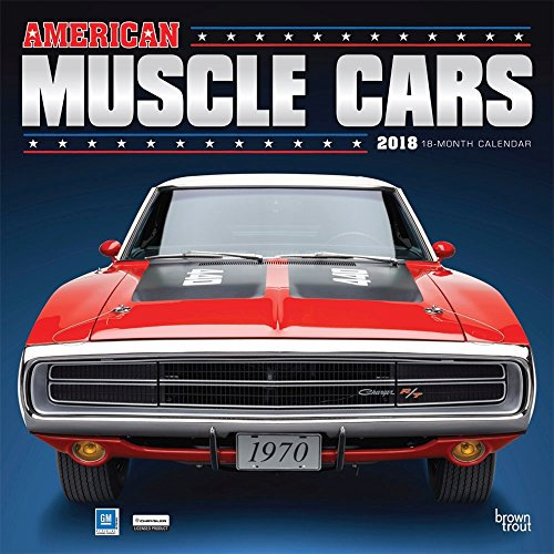 KS Handel 24 PLISSEE FALTROLLO 60x100 cm ROSA INKL. KLEMMTRÄGER Jalousie - MEGA Auswahl IM Shop - 80 Breiten - 12 Farben