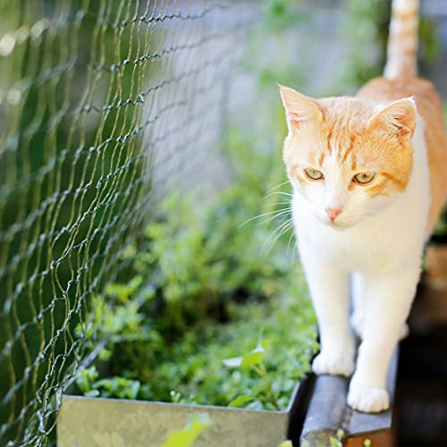 ALLEGRA Balkong kattnät!!!B-varor med små känsla!!! Nätskyddsnät kattgaller grönt 3 x 2 m kattskyddsnät katt balkongskydd balkongnät katter säkerhetsnät kattskydd