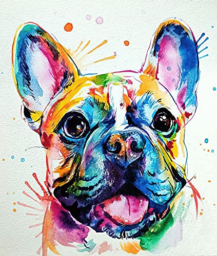 HUIPYOU Malen nach Zahlen für Erwachsene und Kinder, DIY Leinwand Ölgemälde-Set für Erwachsene Kinder Anfänger, Malen nach Zahlen-Kits, 40,6 x 50,8 cm, bunte französische Bulldogge (ohne Rahmen)