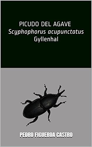 PICUDO DEL AGAVE Scyphophorus acupunctatus Gyllenhal (Spanish Edition)