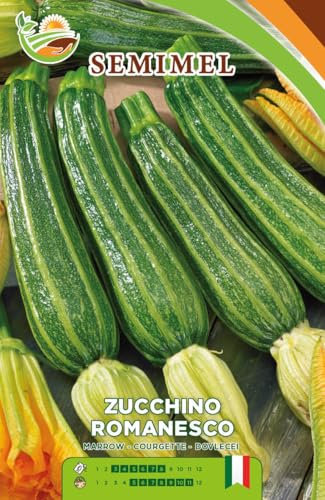 Zucchino Romanesco - Semi di Zucchino con Frutto Lungo 15-18 cm, Costolature Verdi, Fiori Grandi e Persistenti, Semina da Febbraio a Luglio 3 confezioni