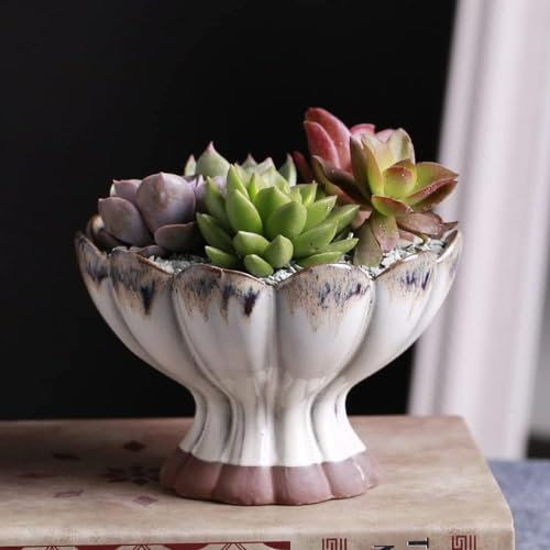 PUFAHAU Lila Sand Blumentopf Große Lotus Lampe Keramik Kleine Lotus Fleischige Platte Blumentopf Kreative Grüne Pflanze Topf Blume Gerät-C(B)