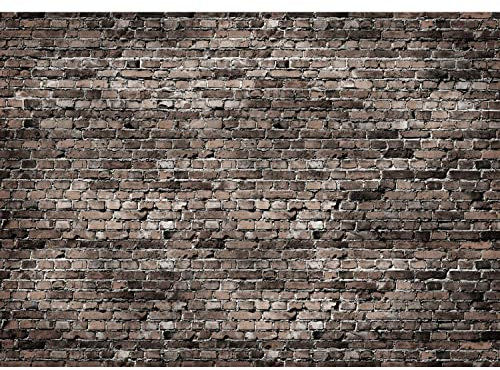 Runa Art Papier peint intissé mur de briques 352 x 250 cm Toison Mur XXL Tableaux Muraux Tapisserie Photo Décoration Murale Salon Chambre grise 9480011c