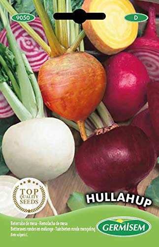 Germisem Hullahup Colore Mix Semi di Barbabietola 5 g