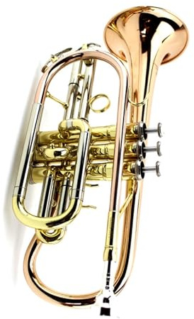 Trompete Trompete B-Flachkornett-Instrument aus Phosphorbronze