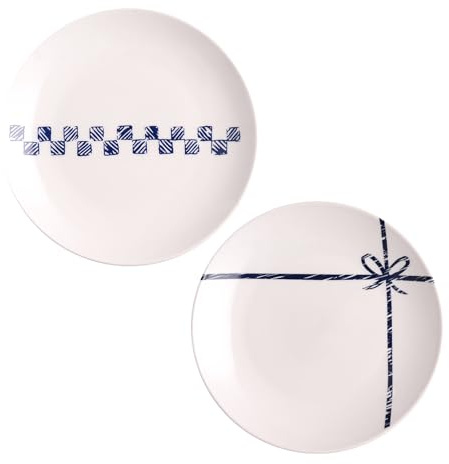 Hoshisea 2 Pezzi Porcellana Cena, Piatto per La Colazione, Piatti da Pranzo Ceramica, pour Le Petit-Déjeuner, Le Dîner (Nodo Regalo E Plaid)