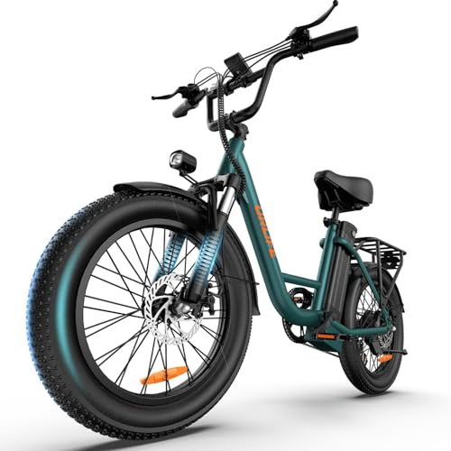 URLIFE Vélo électrique pour adultes 20 Fat Tire avec batterie amovible moteur 250 W, 7 vitesses, avec écran LCD coloré