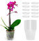 Orssmigs 10 Pieza Maceta Orquidea Transparente, Macetas para Orquídeas, Maceta de Plástico Transparente con Agujeros de Drenaje para Balcón, Interior y Exterior