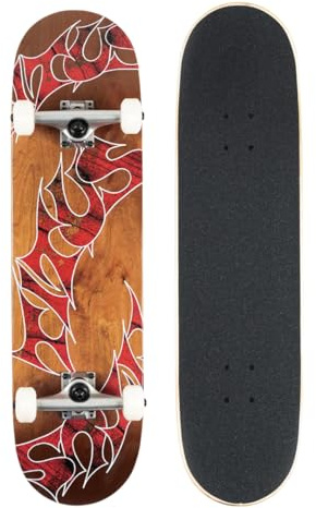 TITUS Skateboard Kinder ab 8 Jahre, Jugendliche & Erwachsene, Komplettboard