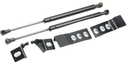 Ammortizzatori a Gas per Cofano Auto Cofano Motore Ascensore Automatico Ammortizzatori Barra Puntone Compatibile con i Modelli 2019 2020