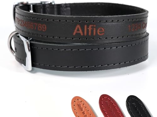 Personalisiertes Leder Hundehalsband (Schwarz, Größe 1) ~ mit Wunschgravur | Laser-graviertes Ancol Halsband für Welpen, Individuell gestaltet mit Wunschtext oder Name ~ Hundemarke aus echtem Leder