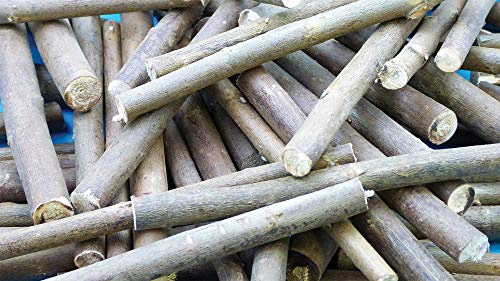 Baker Ross Ramas de sauce natural para manualidades y decoraciones (paquete de 30)