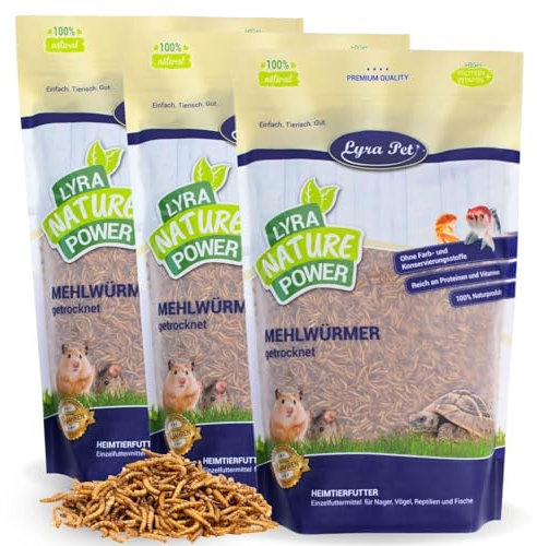 Lyra Pet® | 3 x 10 Liter Mehlwürmer getrocknet | Ausgezeichnete Proteinquelle für Vögel, Nager, Fische & Reptilien | Wildvogelfutter für Insektenfresser | Naturbelassenes Vogelfutter Ganzjährig