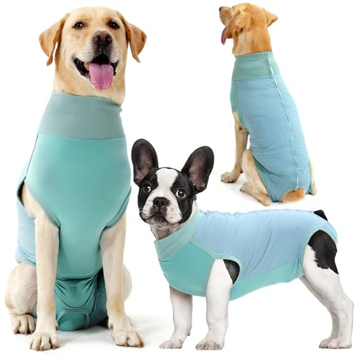 Dotoner Tuta Chirurgica per Cani, Post-Operazione e Castrazione, Body Traspirante, Protezione Contro Perdite, Anti-Leccare Ferite, Turchese, M, Poliestere, Lavabile in Lavatrice