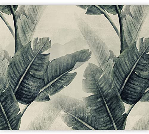 murando Fotomurales tropical Hojas 400x280 cm XXL Papel pintado