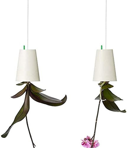 BLOSSOMLIFE 2Pcs Upside-Down Planter Hanging Flower Pot Planter for Balcony Garden Home Indoor and Outdoor Decoration