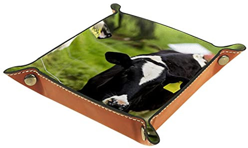 Bandeja de cuero para valet, organizador para mesita de noche, plato de almacenamiento para escritorio, ternero, vacas lecheras, pastos verdes