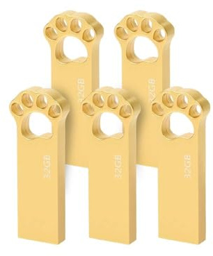 Clé USB 32 Go [Lot de 5], Cle USB Lovely Pendrive 32 Go Cartoon Flash Drive USB 2.0 Imperméable Mémoire Stick Pen Drive pour Ordinateur, PC, Tablette Stockage de données (Or)