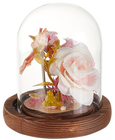GOMAKERER 1 Stück Glasglocke, 10.2x11.2cm Dekorative Glashaube als Tischdeko Terrarium mit Korkboden dekorative Displaykuppel für Pflanzen, Blumen, Weihnachtsdekoration