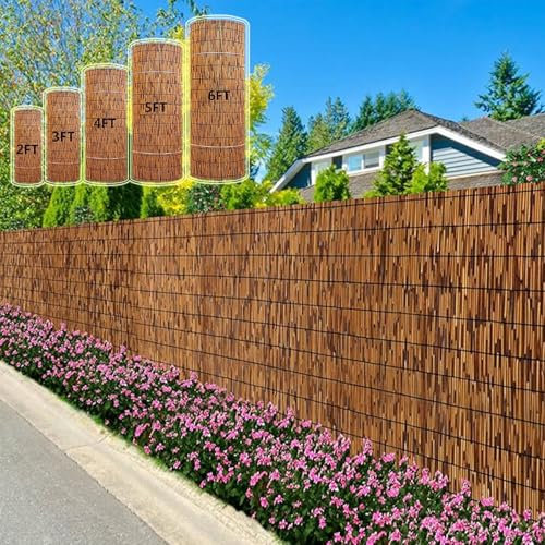 Natürlicher Schilfrohr-Vorhang, Bambus-Zaun, Sichtschutz für Balkon, Sichtschutz, Schilfrohrschutz für Outdoor, Galerie, Restaurant, Hotel, Terrasse (H x L x L): 1,53 x 3 m x 10 Fuß