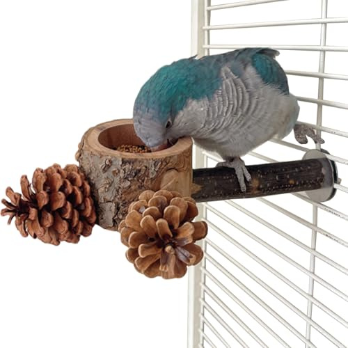 Fågelpinne - 2-i-1 Husdjursleksak Med Matskål,Parakit Ställ Med Matskål | För Conure, Tvillingparakit, Kanariefågel, Kakadua, Fink Och Fodersökning,