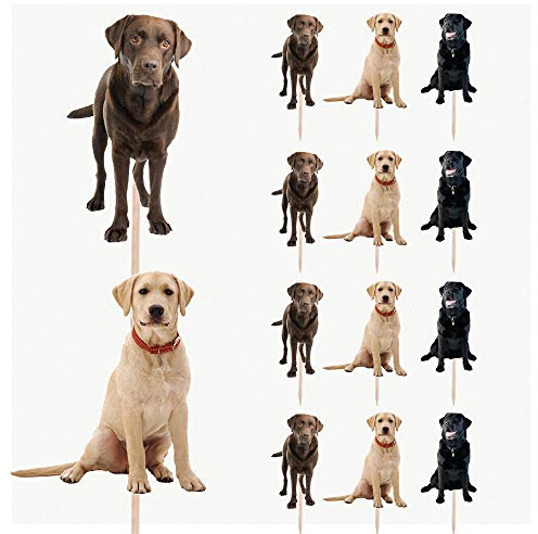 AK Giftshop Labrador Dogs Birthday Party Food Cupcakes Picks Decorations Toppers (pack of 14)