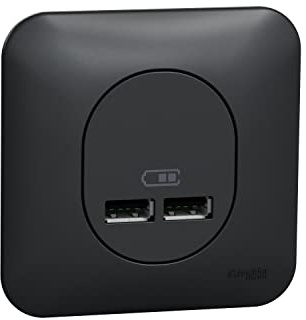 Schneider Electric - Ovalis - Double chargeur usb 2.1 A - Avec plaque de finition -Anthracite - S460407