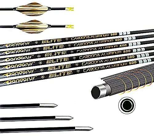 ACCMOS Fachmann Targeting Arrows, 31 Zoll Kohlenstoffbeschichtet Aluminiumkern Pfeilschaft Wettbewerb Bogensport Pfeil, ID 3,2 mm Spine 750 Geradheit 0,001 für Schießwettbewerb (12pcs, Spine 750)