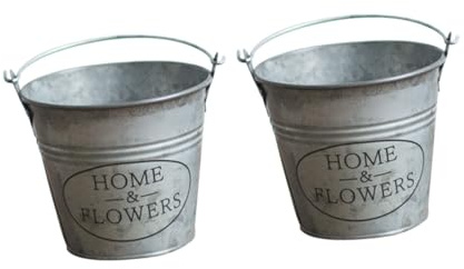 FUTUREORYY 2 pièces Seau Vintage pour Plantes Décoration Intérieure et Extérieure Lot de Style Rétro Classique Ornement Polyvalent pour Maison Bureau et Jardin