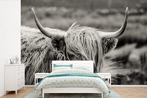 Selbstklebend Tapete Wandpapier Wandaufkleber Fototapete Tapeten Wanddeko 450x300 cm Schottischer Highlander - Kuh - Tiere - Schwarz-Weiß - Ländlich