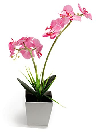 PRETYZOOM Orchideen LED Leuchte mit 9 LEDs, Rosa, Batteriebetrieben | Kunststoff und Eisendraht, mit Aaa Batterien, für Riegel und Geburtstage