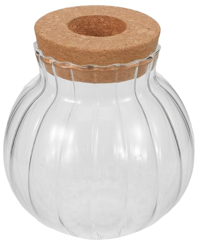 Veemoon Vaso di Propagazione Piante in Vetro con Coperchio in Sughero, Vaso da Tavolo per Talee di Pothos e Filodendro, Fioriera per Coltivazione in Acqua Piccola per Interni, Terrario