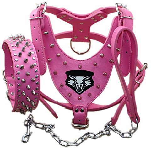 haoyueer Hundegeschirr aus Leder, Halsband und Leine, mit Nieten, 3-teiliges Set für mittelgroße und große Hunde z. B. Pitbull, Mastiff, Boxer, Bullterrier, 3er-Set, Größe L, neon-rosa