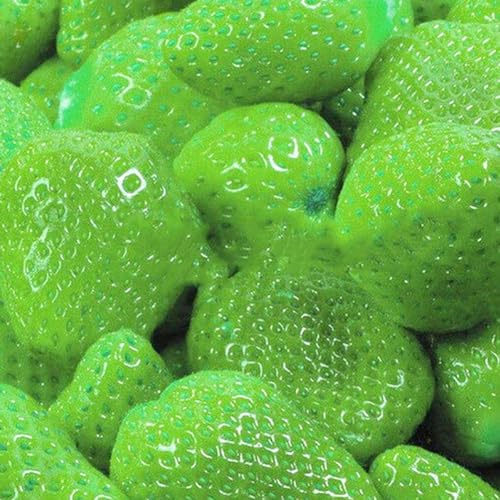 kiskick 100 Semi di Fragole Dolci Multicolori, Giardino Domestico, Fattoria, piantagione di Piante da frutto, coltiva Il Tuo Giardino di Erbe aromatiche Verde Semi di Fragola