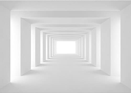 Runa Art Sfondo Fotografico 3D Tunnel 396 x 280 cm Lana Sfondo Salotto Camera da letto Ufficio Corridoio Decorazione Murali Decorazione da muro moderna - 100% FATTI IN GERMANIA - 9404012c