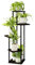 Bamworld Étagère Plante 5 Niveaux Pour 5 Pots, Support Plantes Intérieur En Métal Noir, Porte Plante Intérieur Pour Plusieurs Plantes, Porte Plante Extérieur Chambre.
