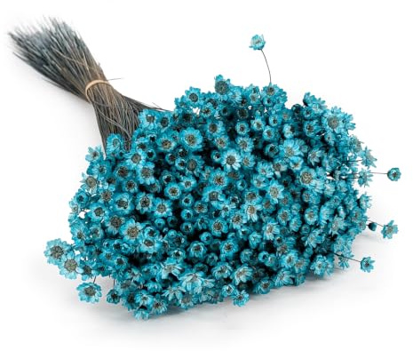 Enchanted Trockenblumen Dekogras Glyxia Comanthera Getrocknetes Gras Ziergras Natürlich Deko Blau