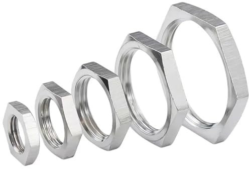 LCRORO 10 Stück Edelstahl 304, dünne Sechskantmutter, Sicherungsmutter, Wurzelmutter Silver M16×1