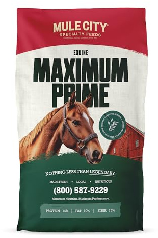 Mule City Maximum Prime Horse Feed - 40 lb Bag, Balanced Daily Horse Feed for Maintenance and Performance Horses, Designed to Support Energy, Condition, and Consistent Feeding Programs
