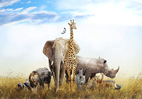 decomonkey Fototapete Afrika Tiere 250x175 cm XL Tapete Fototapeten Vlies Tapeten Vliestapete Wandtapete moderne Wandbild Wand Schlafzimmer Wohnzimmer Kinderzimmer Elefant Giraffe