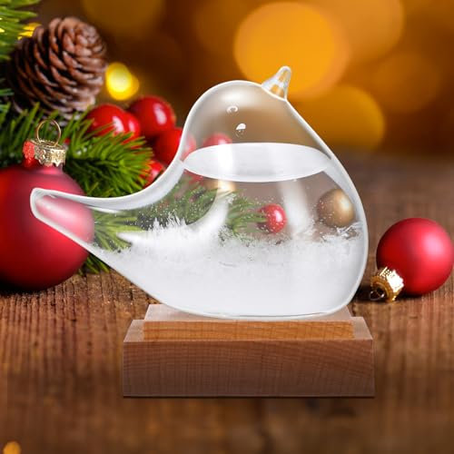 Storm Glass Weather Station, Weather Forecast Bottle Glass Weather Predictor, Glass Bird Liquid Barometer with Wooden Base Creative Desktop Decorative, Unique Gift for Mother's Day for Mama Grandma