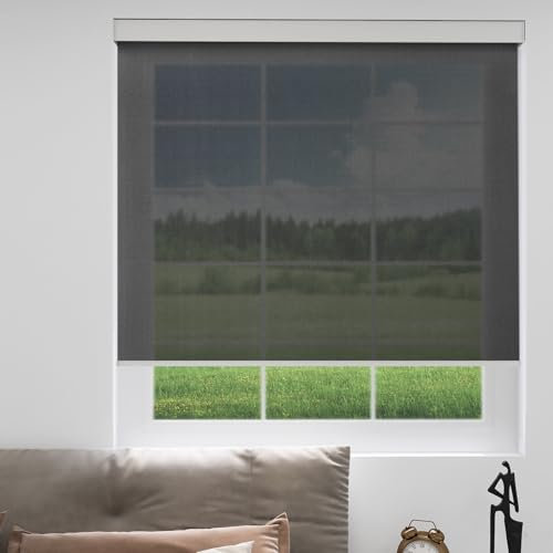 YESCENT Motorized Window Roller Blinds Rechargeable Electric Motor Solar Shades Transparent Sight Customized Size for Home Office Hotel Club Restaurant (82006R-Grey)