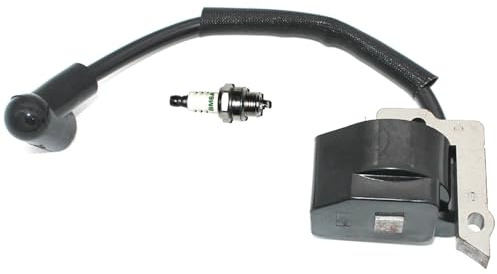 Motorrad Zündung Für Dolmar Für LT-30 MS-30 MS-31 DST300 DBC300 BrushCutter Trimmer Unkraut Esser Parts369143010 Zündspule Modul Stecker Zündschalter Mit Schlüsseln