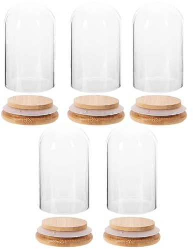 Angoily Lot De 5 Cloches Décoratives en Verre avec Base pour Présentoir À Fleurs
