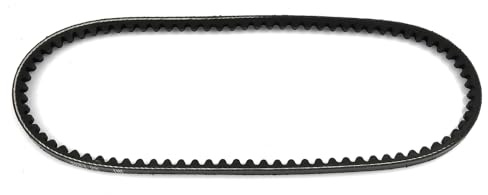 ROBUST Keilriemen Servopumpe 10 X 730 für 100 Bmw E36 Seat Toledo VW Golf 2 Jetta 2 Passat Scirocco